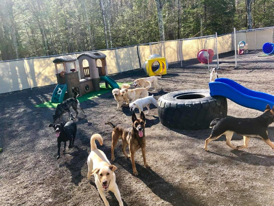 Our Play Yard